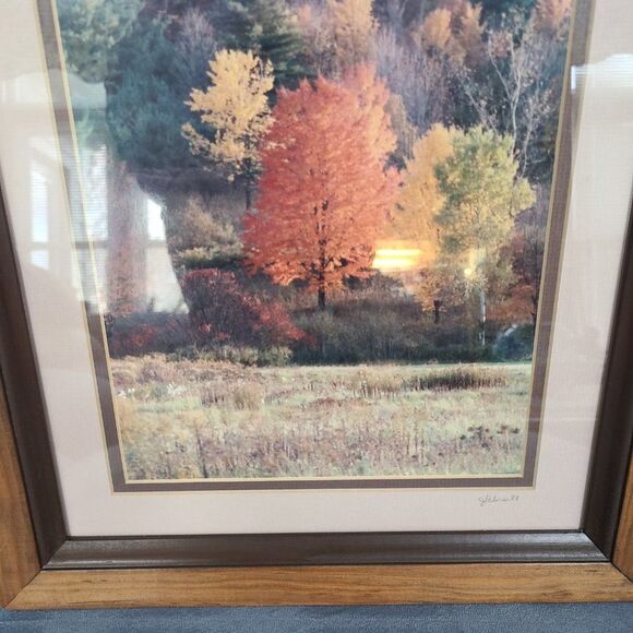 Vintage Autumn Fall Photography Wall Hanging Framed and Matted J Palmer 1988 - Picture 6 of 16